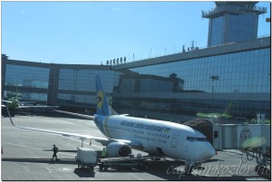 Самолет Украинской международной авиакомпании в аэропорту Домодедово