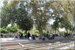 Жители Тегерана отдыхают в парке города.
