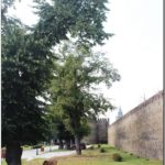 Стена крепости в городе Телави. Грузия.