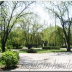 Парк в городе Волжский