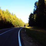 Дорога среди белорусских лесов