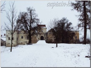 Общий вид на Свиржский замок