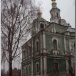 Береза у церкви. Город Владимир