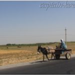 Гужевой транспорт очень популярен и по сей день. Таджикистан. Средняя Азия